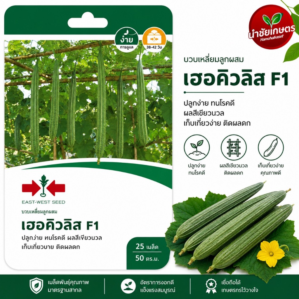 บวบเหลี่ยม เฮอคิวลิส เมล็ดพันธุ์ ศรแดง แบบซอง