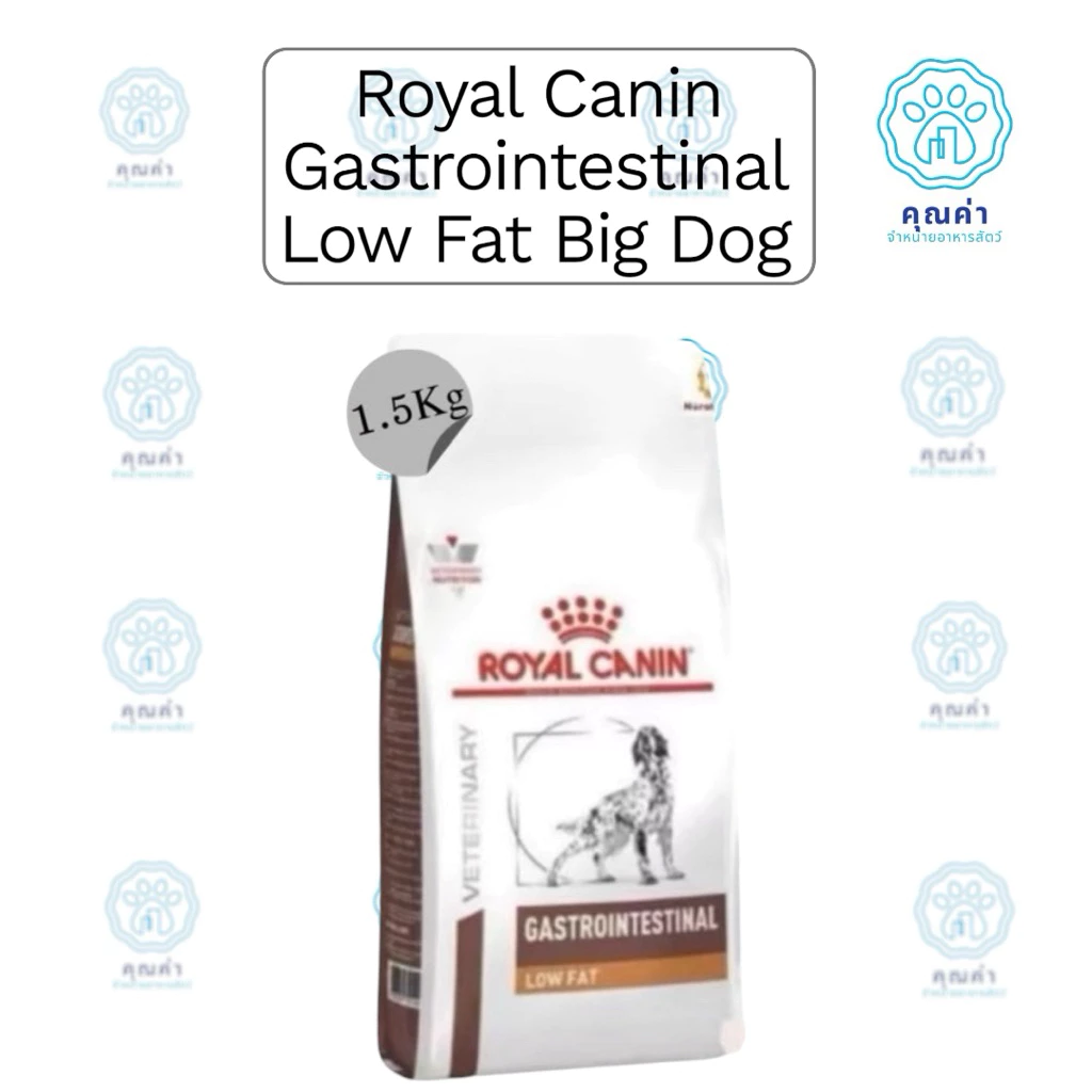 Royal Canin (GASTROINTESTINAL LOW FAT BIG DOG)(1.5kg) อาหารสุนัข สำหรับสุนัขที่ป่วยด้วยโรคทางเดินอาหาร ชนิดเม็ด