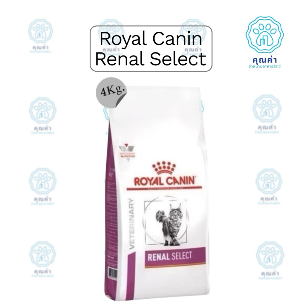 Royal Canin (RENAL SELECT)(4kg) อาหารแมว  สำหรับแมวที่เป็นโรคไตเรื้อรัง ชนิดเม็ด