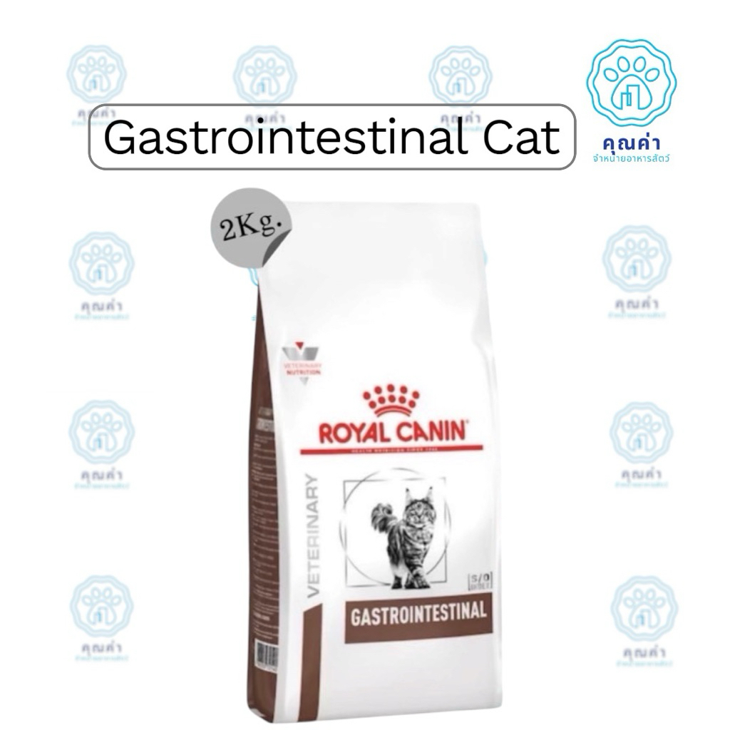 Royal Canin (GASTROINTESTINAL cat)(2kg) อาหารแมว สำหรับแมวโตที่มีความผิดปกติระบบทางเดินอาหาร ชนิดเม็ด