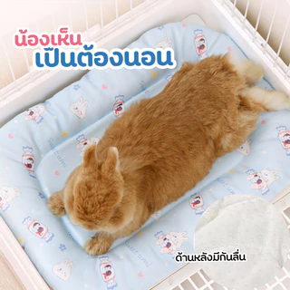 พร้อมส่ง ที่นอนกระต่าย เบาะเย็นกระต่าย ที่นอนสัตว์เลี้ยงขนาดเล็ก เบาะนอนเย็นสบาย ดับร้อน คลายร้อนสัตว์เลี้ยง