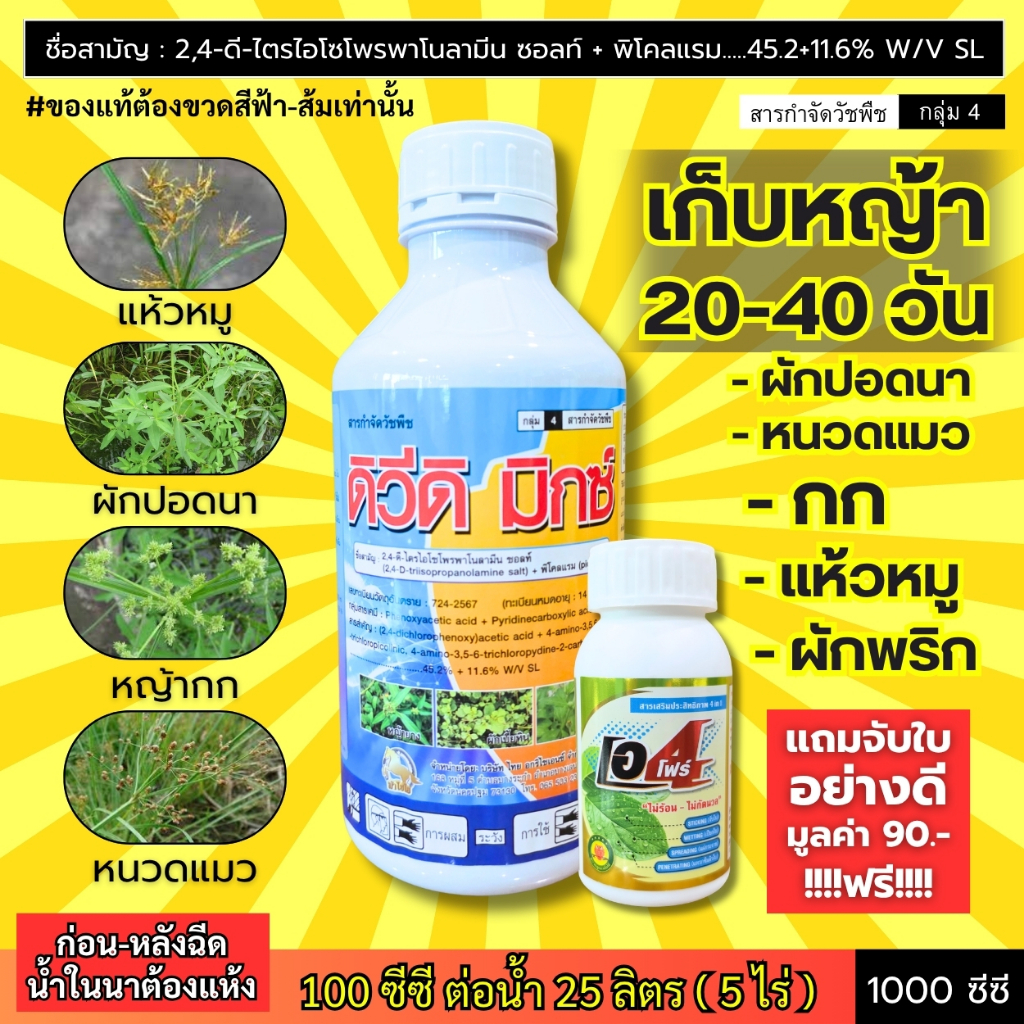 ดิวีดิ มิกซ์ (เก็บหญ้าในนาข้าว 20-40 วัน) หญ้าผักปอดนา กก แห้วหมู ผักพริก สะเดาน้ำ หนวดแมว (1 ลิตร)