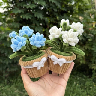 [ส่งฟรี]เซ็ตของขวัญวันแม่ กระถางดอกมะลิลวดกำมะหยี่ พร้อมกล่องใสผูกโบว์&การ์ดอวยพรฟรี มาลัยวันแม่ งานฝีมือสุดประณีต