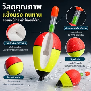 5-80g EVA โฟมตกปลา สําหรับตกปลาคาร์พ เบส Bobber Bobbers ตกปลาลอย