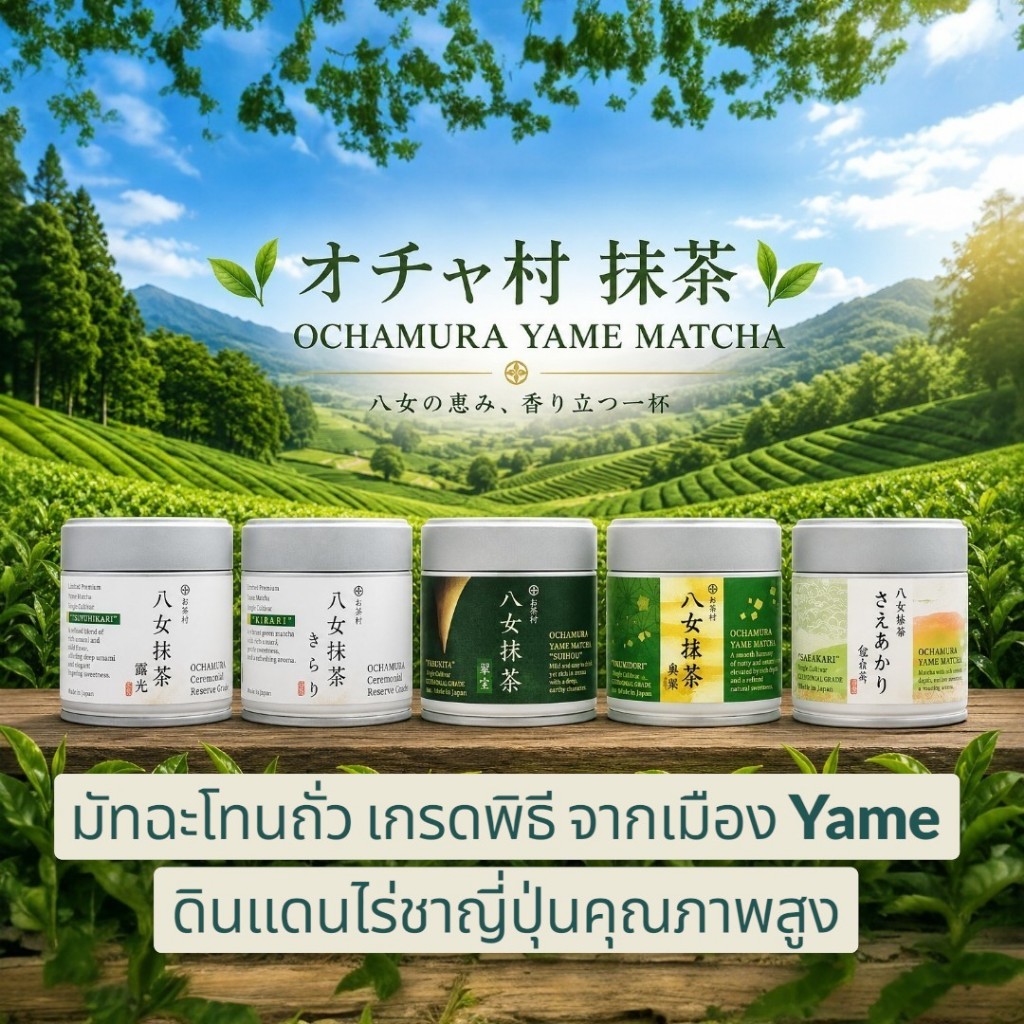 [มัทฉะพร้อมส่งในไทย] Ochamura  Yame Matcha มัทฉะโทนถั่วแท้ แชมป์ประกวดญี่ปุ่น เกรด Ceremonial