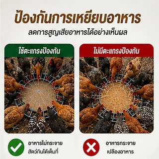 ถาดอาหารไก่ 60 ซม. 30 ช่อง พร้อมตะแกรงกันเหยียบ ถาดให้อาหารไก่ เป็ด ห่าน ลดอาหารหก พลาสติกหนา แข็งแรง สำหรับฟาร์มสัตว์ปี