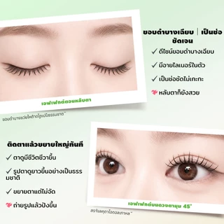 LASHSABAI ขนตาเกาหลีไม่ใช้กาว เกิร์ลกรุ๊ป ขนตาเป็นช่อ ขึ้นกล้อง ติดง่าย เบาสบายS211-213