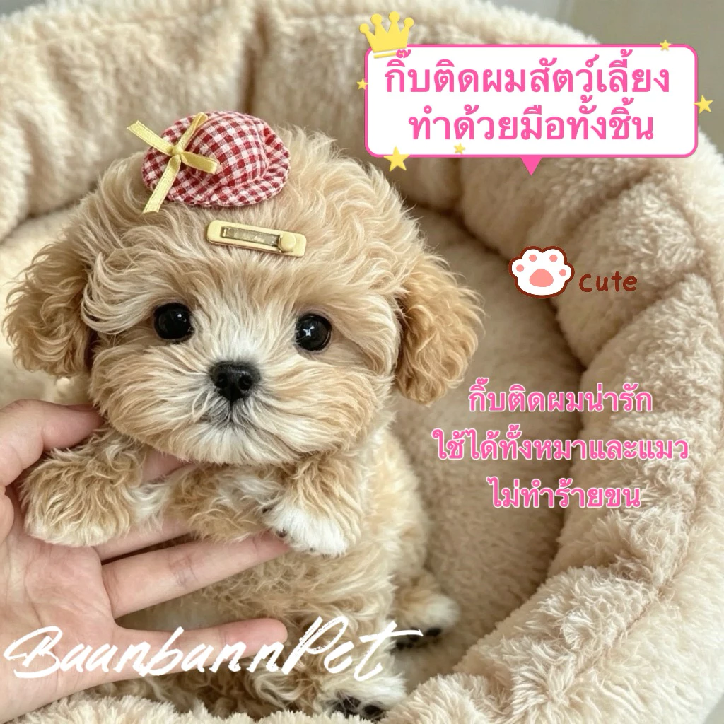 กิ๊บหมวกลายตารางสไตล์มาคารอง ทำด้วยมือ กิ๊บ BB อ่อนโยนต่อขน ไม่ดึงขน ใช้ได้ทั้งหมาแมว เครื่องประดับตกแต่งขนสัตว์เลี้ยง