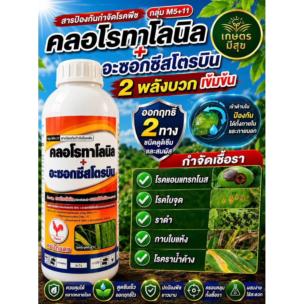 คลอโรทาโลนิล+อะซอกซีสโตรบิน (ตราไก่แดง) สารป้องกันกำโรคพืชได้หลากหลาย ขนาด1 ลิตร