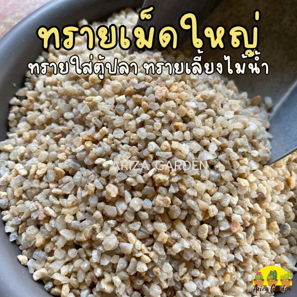 ทรายเม็ดใหญ่ ทรายเลี้ยงไม้น้ำ ทรายใส่ตู้ปลา