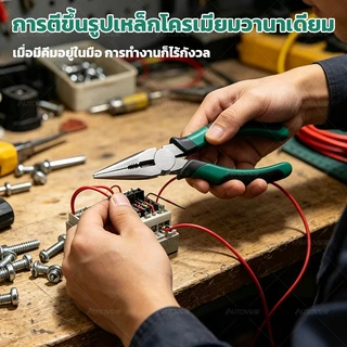 Autoview คีมช่าง ปากจิ้งจก ปากแหลม ปากตัด คีมอเนกประสงค์ ขนาด 6 นิ้ว / 8 นิ้ว (Pliers Series)