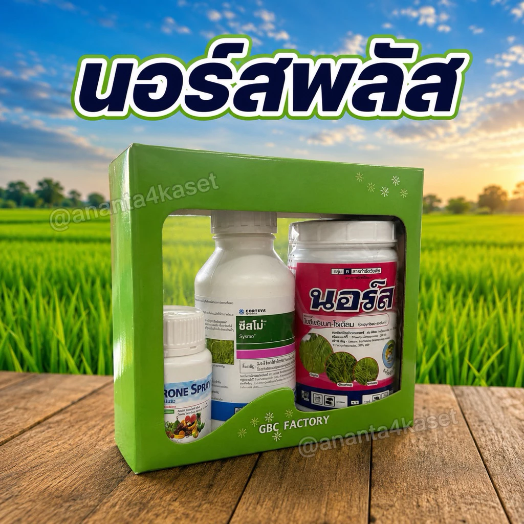 นอร์สพลัส (นอร์ส100กรัม+ซิสโม่500มล+โดรนสเปรย์100มล) สารกำจัดวัชพืชในนาข้าว