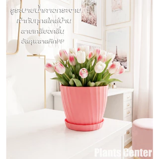Plants Center T029 กระถางต้นไม้สไตล์มินิมอล สีพาสเทลสดใส มี 6 สี พร้อมจานรอง ดีไซน์สวย ทนทานใช้งานยาวนาน