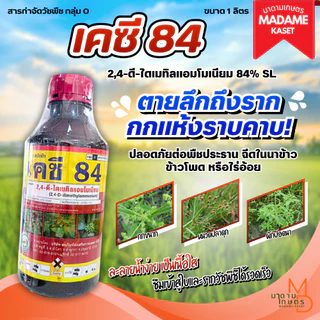 โฉมใหม่! เคซี84 (2,4-ดี ไดเมทิลแอมโมเนียม 84% W/V SL) ขนาด 1 ลิตร ยาฆ่าหญ้าใบกว้าง กก แห้วหมู สูตรเย็น ดูดซึมถึงราก