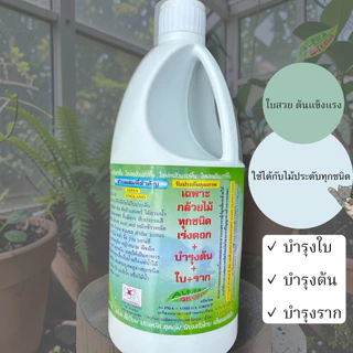 ปุ๋ยบำรุงใบ อัลฟ่าโอเมก้า พ่นทางใบ บำรุงต้น บำรุงราก ใบเขียว ใช้ได้กับต้นไม้ทุกชนิด 1 ลิตร