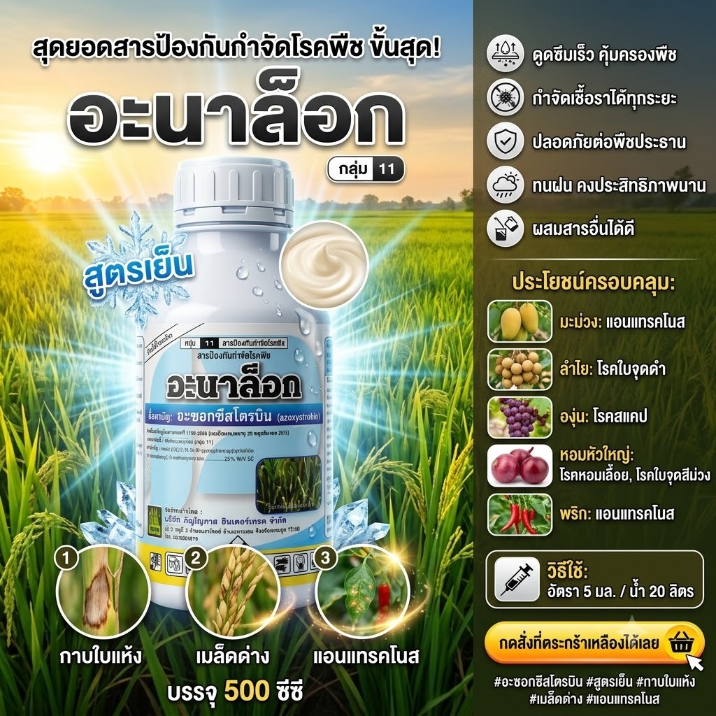 อะซอกซีสโตรบิน25%SC - อะนาล็อก 500 ซีซี สูตรเย็นผ่าดอกได้ ใบจุด โรคราสนิม แอนแทรคโนส ช่อดำ กิ่งแห้ง