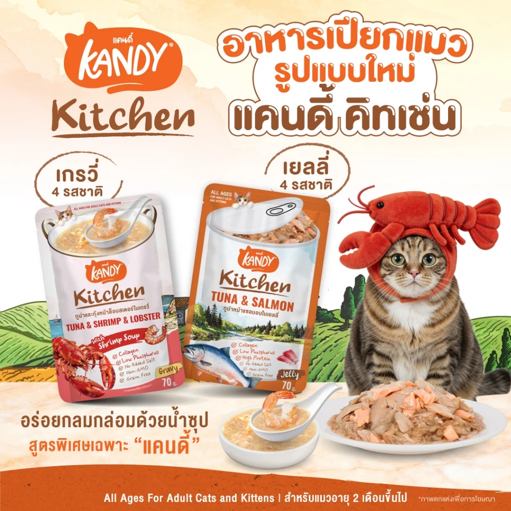 Kandy Kitchen Cat Wet Food อาหารแมวแคนดี้ ชนิดเปียก ขนาดซองละ 70 กรัม สำหรับแมวอายุ 2 เดือนขึ้นไป