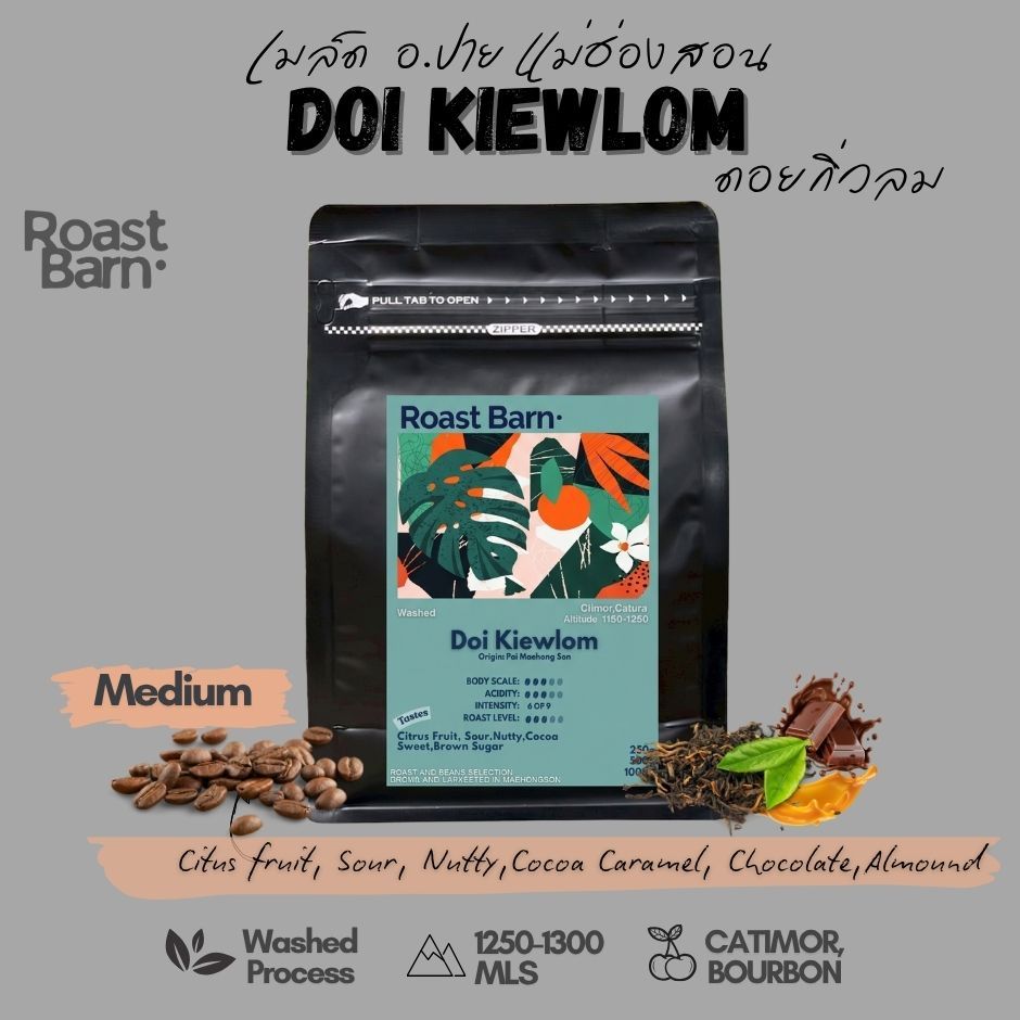 เมล็ดกาแฟคั่วกลาง ดอยกิ่วลมปาย แม่ฮ่องสอน Doi Kiewlom Pai Thailand Medium Roast