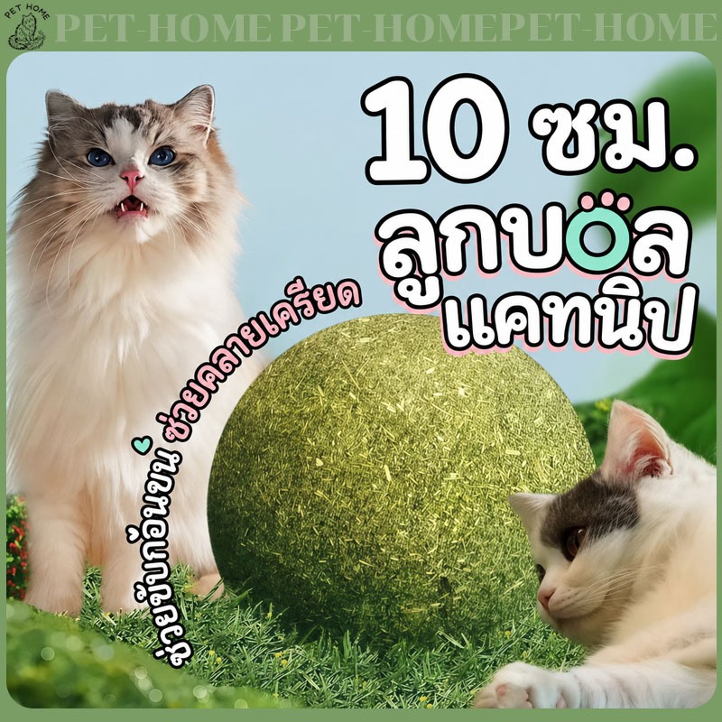 พร้อมส่ง 10CM แคทนิปบอล กัญชาแมว catnip ball ขนมแมวเลีย สมุนไพรแมวเลีย ขนมแมว ของเล่นแมวเลีย Catnip Ball