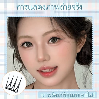 Minidarling💥🇹🇭(ร้านไทย)ขนตาปลอมมีกาวในตัว ไม่ต้องทากาว ขนตาปลอม สำหรับมือใหม่และทุกโอกาสขนตาสายฝอ