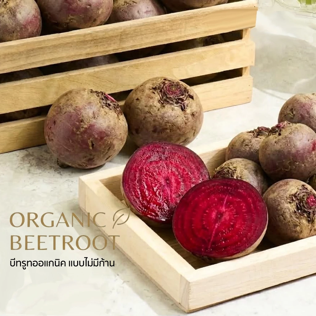 【 1กิโล 】บีทรูทออแกนิค แบบไม่มีก้าน Beetroot คัดเกรด 2-3หัว/โล (ชั่งรวมกล่อง)