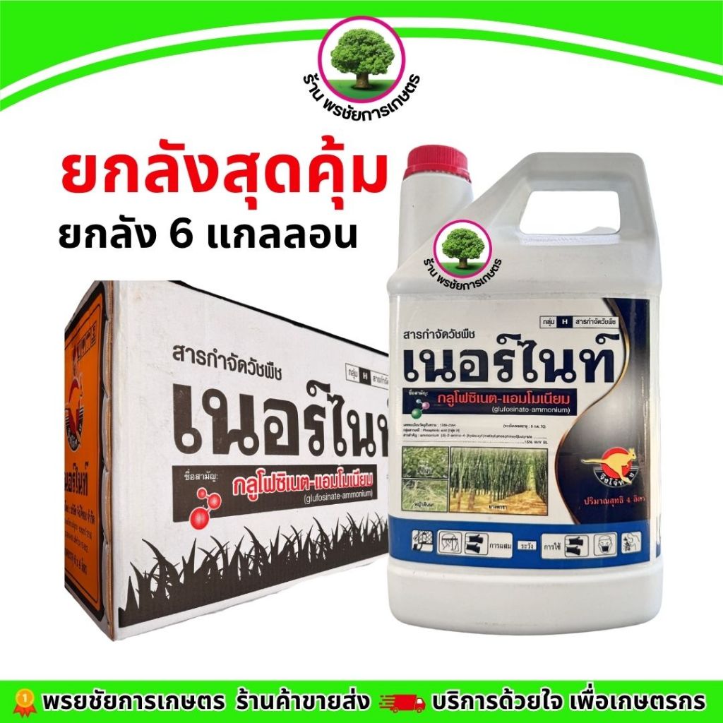 เนอร์ไนท์แกลลอน ขาว  (จิงโจ้ทอง) ขนาด 4 ลิตร ยกลัง 6 แกลลอน