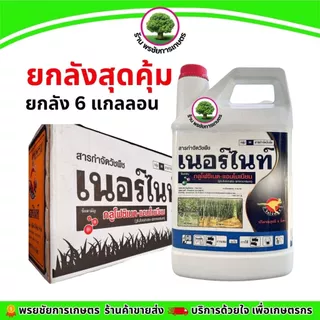 เนอร์ไนท์แกลลอน ขาว (จิงโจ้ทอง) ขนาด 4 ลิตร ยกลัง 6 แกลลอน