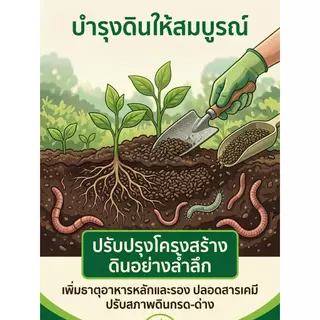 [ส่งฟรีร้านโค้ดคุ้ม] ขี้ไก่อัดเม็ด ปุ๋ยอินทรีย์มูลไก่ (ขนาด 5kg / 10kg / 20kg) ปุ๋ยบำรุงต้น บำรุ่งใบ ลดกลิ่นเหม็น