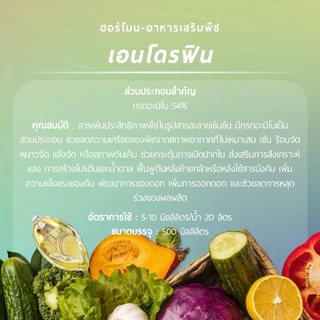 เอนโดรฟิน (อะมิโนเข้มข้นจากอิตาลี) *500 มิลลิลิตร*