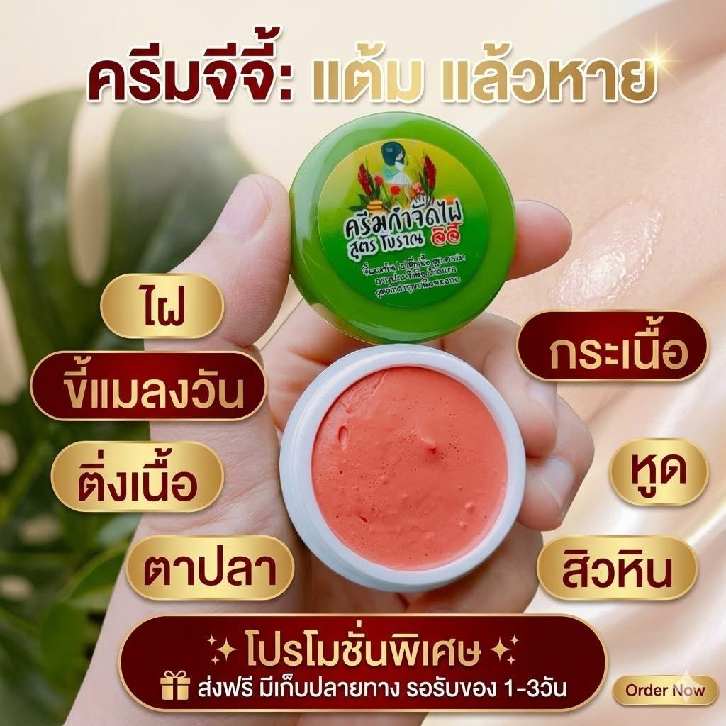 ครีมไฝจีจี้ ขี้แมลงวัน ติ่งเนื้อ หูด ตาปลา แก้ปัญหา กระ สิวหิน ไฝ หูด จี้หูด แต้มไฝ