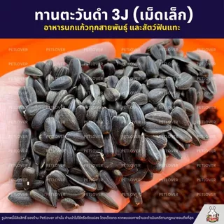 (5KG/10KG) ทานตะวันดำ 3J เม็ดเล็ก เกรดA อาหารนกแก้ว และสัตว์ฟันแทะ สะอาด ร่อนฝุ่นทุกถุง