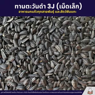 (5KG/10KG) ทานตะวันดำ 3J เม็ดเล็ก เกรดA อาหารนกแก้ว และสัตว์ฟันแทะ สะอาด ร่อนฝุ่นทุกถุง