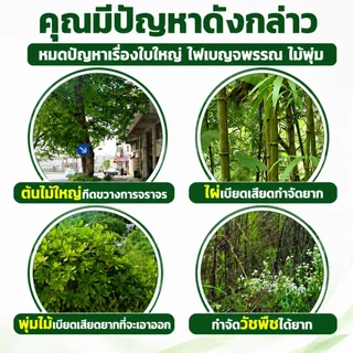 🌲ยาฆ่าต้นไม้ใหญ ยาฆ่าหญ้า รากเน่ารากไม่ขึ้นอีก ยาฆ่าตอไม้ สารกําจัดกอไผ่ แบบผง สานกำจัดกอไผ่ วัชพืช