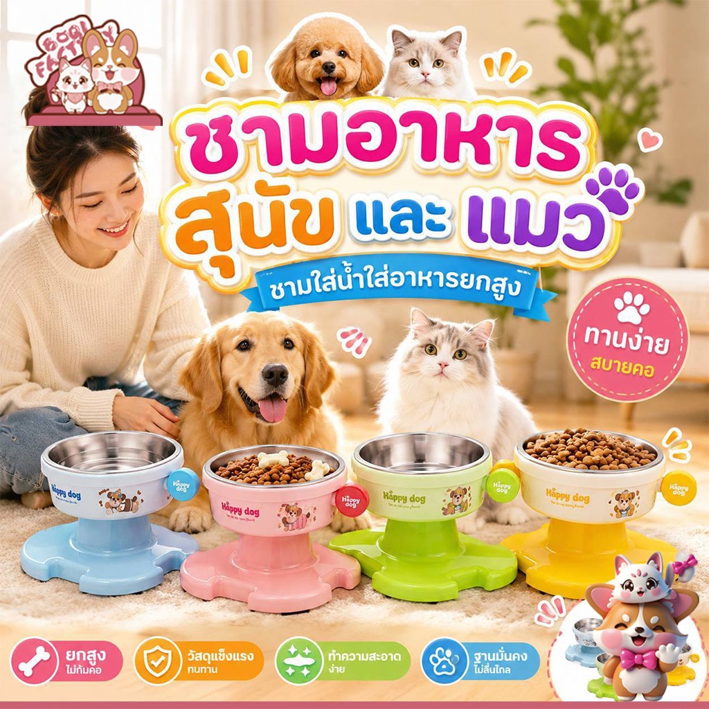 Boqi Factory ชามอาหารสุนัขและแมว ชามใส่น้ำใส่อาหารยกสูง ชามหมา ชามแมว YMbowl