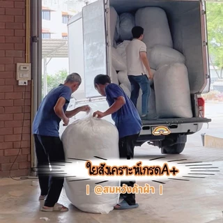 ใยสังเคราะห์เกรดA เส้นใยนุ่ม ละเอียด คืนตัวได้ดี