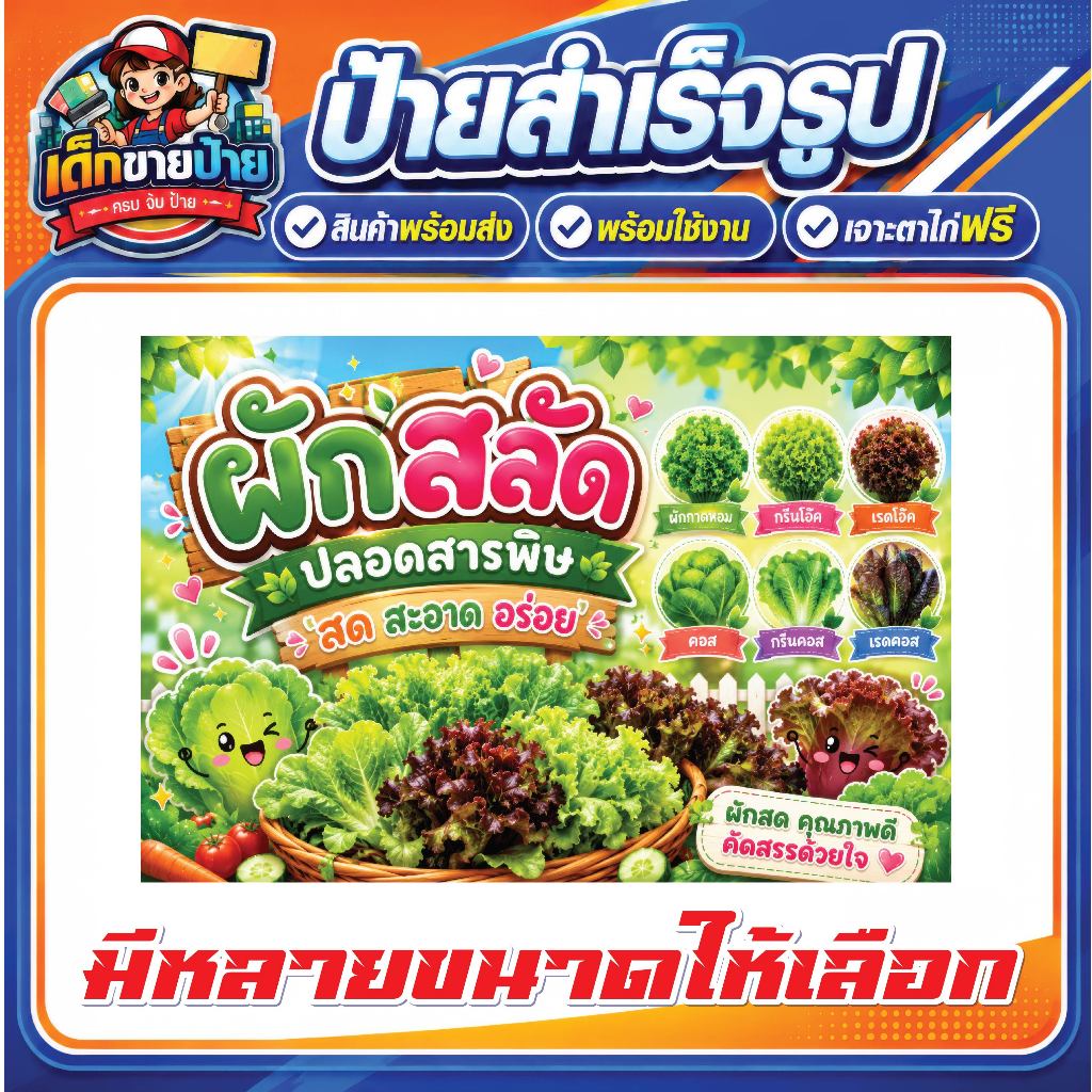 ป้ายไวนิลแบบสำเร็จรูป  ร้านผักสลัดปลอดสารพิษ ผักสลัด ป้ายขายผักสลัด เจาะตาไก่ฟรี พร้อมใช้งาน