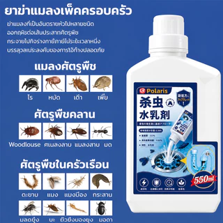 🦟น้ำยาฆ่าแมลงในท่อระบายน้ำ 550ml กำจัดแมลงหวี่ แมลงวันท่อ ลดกลิ่นเหม็นห้องน้ำ สูตรเข้มข้น สำหรับท่อน้ำทิ้ง