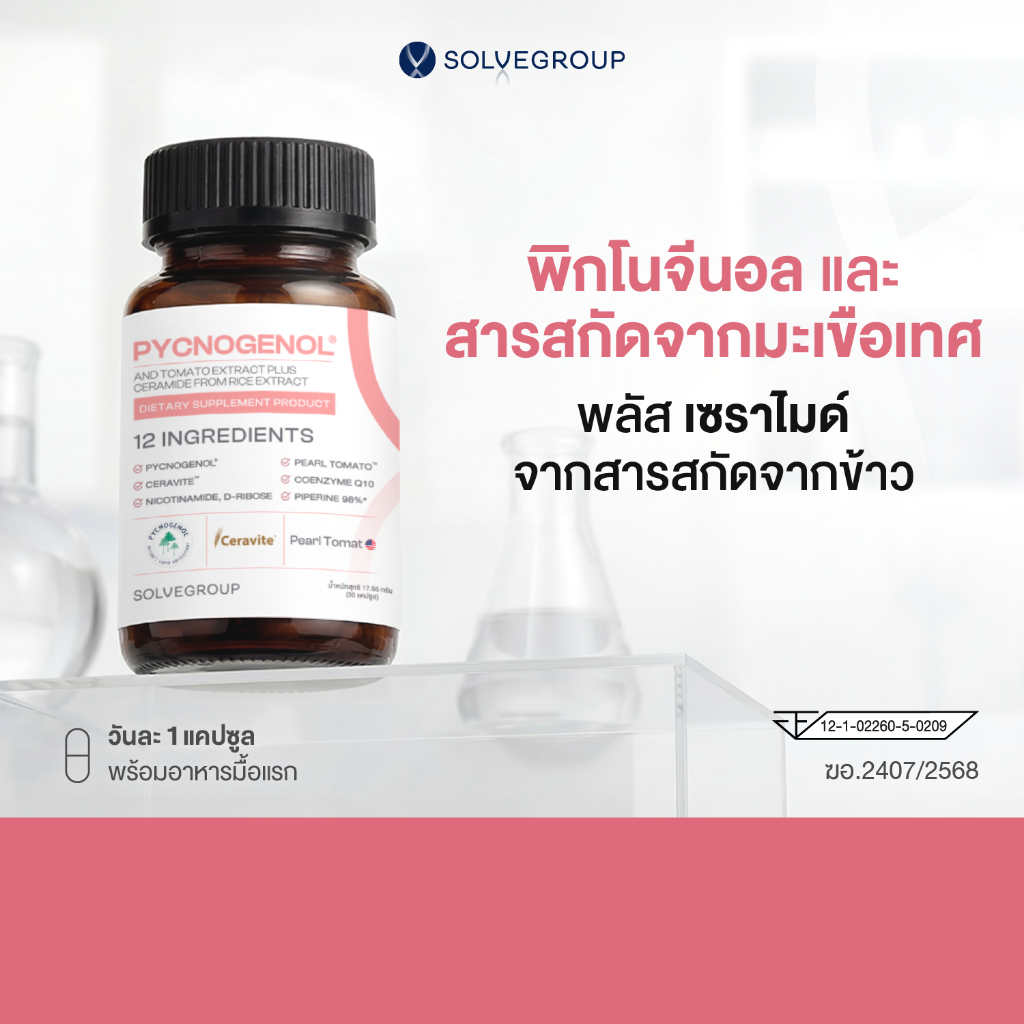 พิกโนจีนอล และสารสกัดจากมะเขือเทศ พลัส เซราไมด์ จากสารสกัดจากข้าว Solve Pycnogenol And Tomato Extract Plus Ceramide