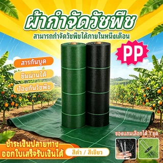 ผ้าคลุมหญ้า เกรด A น้ำซึมผ่านได้ หลากหลายสีและขนาด มีตะปูแถม