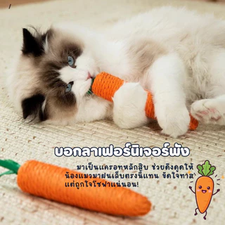 แครอท ของเล่นแมว สีสันสดใส ของเล่นสำหรับสัตว์เลี้ยง ของเล่นแบบขัดฟัน ลับเล็บแมว cat toy พร้อมส่ง