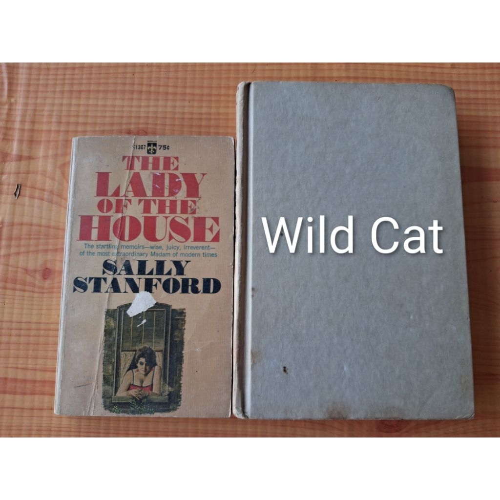 The Lady of the House  + Wild cat#180769