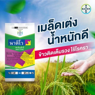 นาติโว75wg 250กรัม ป้องกันกำจัดโรคพืช เชื้อรา เมล็ดด่าง ข้าวสวยเต็มรวง เมล็ดเต่ง รวงใหญ่และน้ำหนักดี