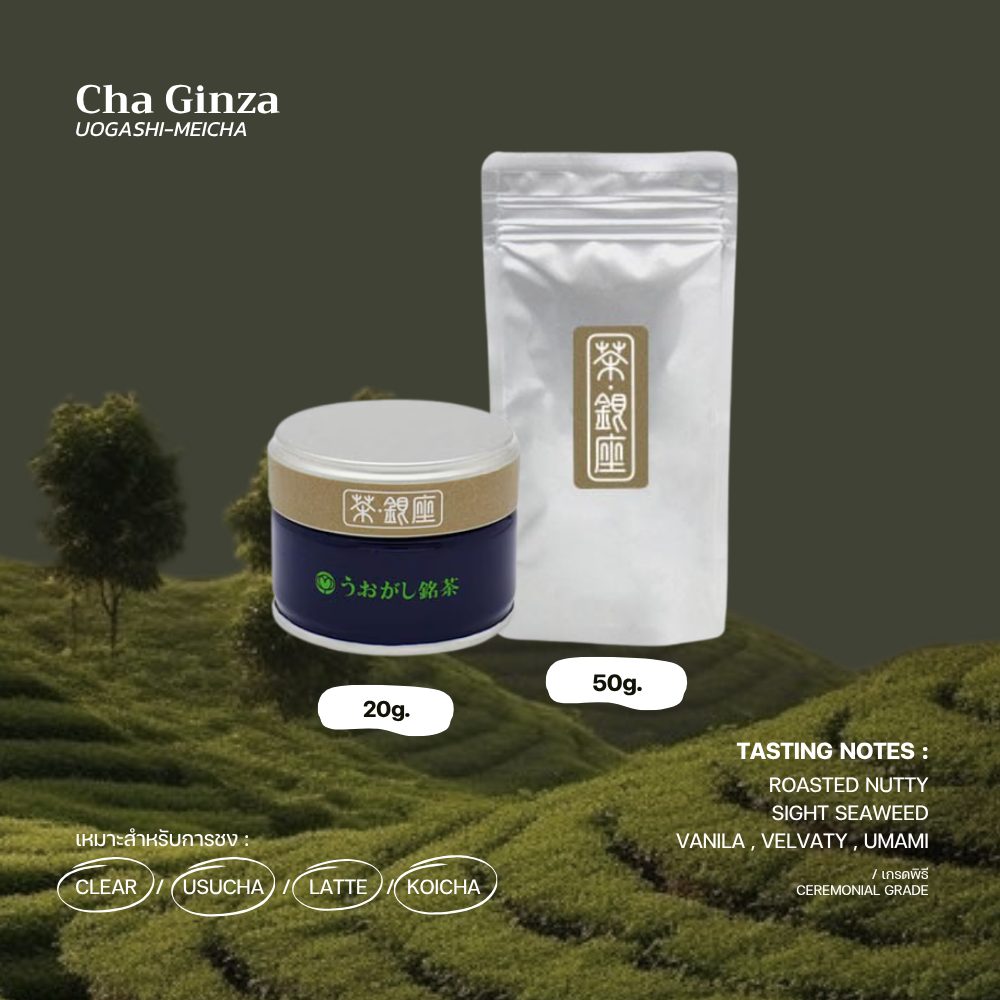 [Rei • เรย์]มัทฉะเกรดพิธี 🌊🥜"Cha Ginza" - UOGASHI MEICHA