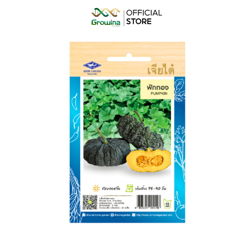 CHIA TAI เมล็ดพันธุ์ผัก เจียไต๋ เมล็ดผักพื้นบ้าน ผักซอง ผัก ฟักทอง