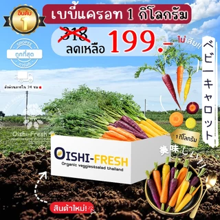 🛒Oishi-Fresh🥕เบบี้แครอท 3 สี ปลอดสารพิษ 1 กก. รสชาติกรอบ สด ใหม่ ใยอาหารสูง หวานออร์แกนิค ผัก เคลมได้ 1-2 วัน