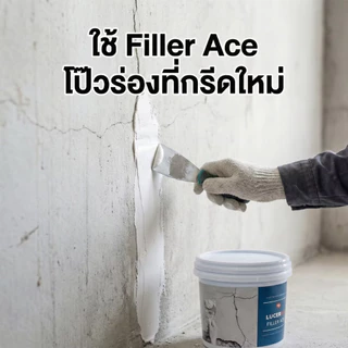 Filler Ace ซ่อมรอยแตกร้าวไม่ร้าวอีก