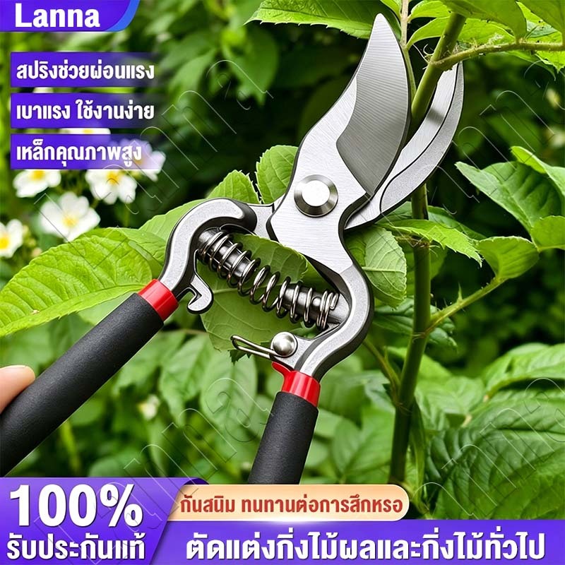 หนัก✂️กรรไกรตัดกิ่งไม้ 10นิ้ว สำหรับทำสวน ตัดแต่งกิ่งไม้ กันไกรตัดกิ่ง กรรไกรทำบอนไซ เหมาะกับการตัดแต่งกิ่งดอกไม้