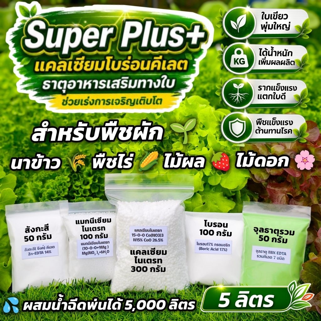 แคลเซียมโบรอน Super Plus คีเลตเกรดคุณภาพสูง ละลายน้ำง่าย ไม่ตกตะกอน หัวเชื้อ 5 ลิตร ผสมฉีดพ่นได้ 5,000 ลิตร พร้อมคู่มือ