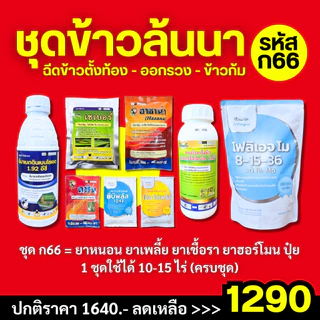 (ก66) ชุดข้าวล้นนา : ยาฉีดช่วงข้าวตั้งท้อง และออกรวง : 1 ชุดฉีดได้ 10 ไร่
