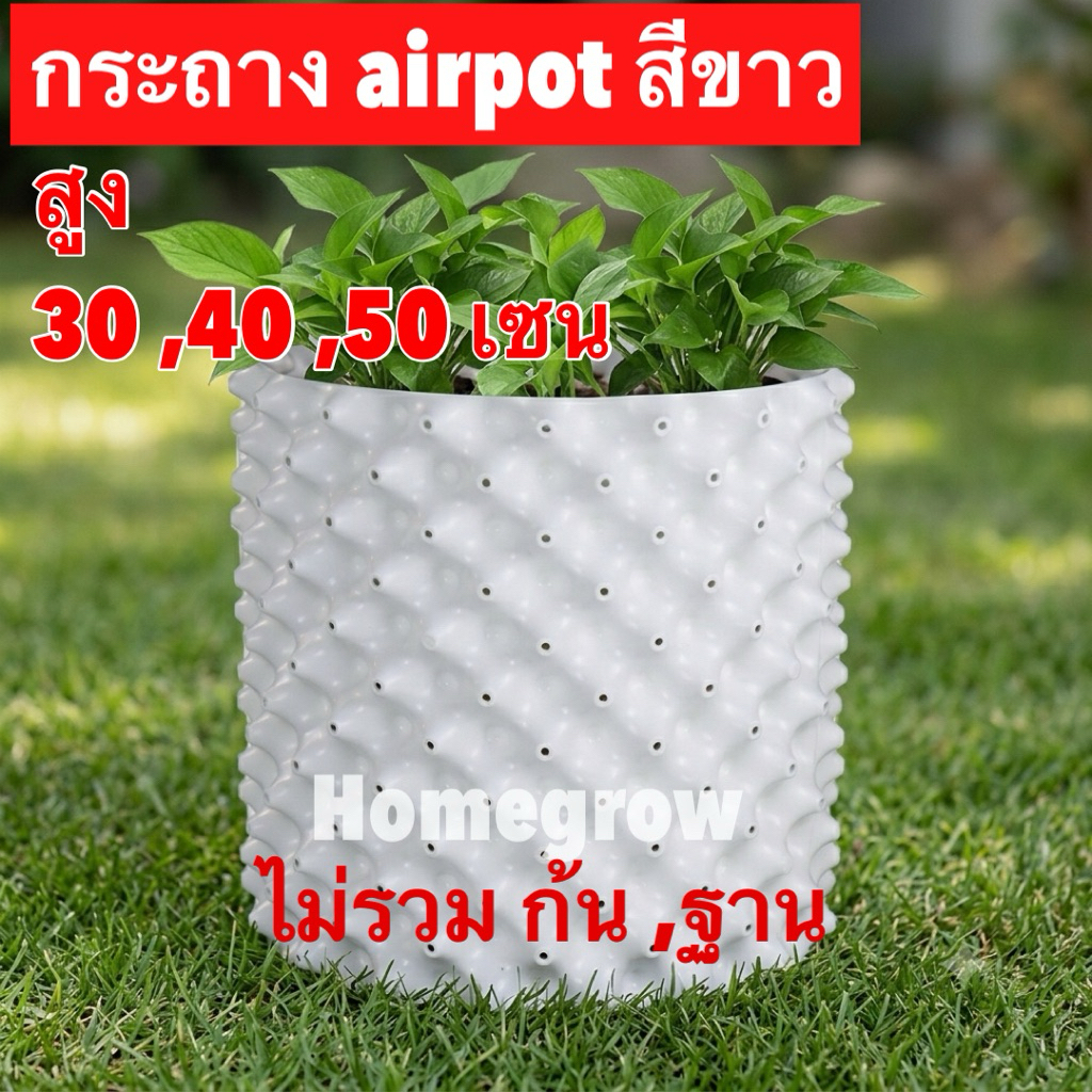 วงล้อมต้นไม้ กระถางแอร์พอร์ต กระถางAirpot ขนาดใหญ่ สีขาว